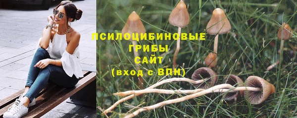 амф Нея